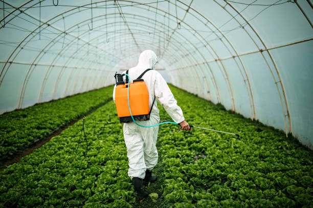 Best Pest Prevention Services  in Mineral Ridge, OH