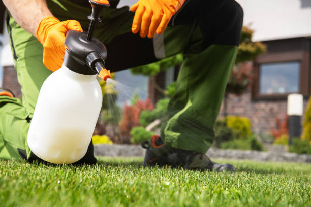 Best Affordable Pest Control Services  in Mineral Ridge, OH