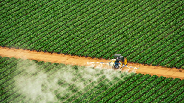 Professional Pest Control in Mineral Ridge, OH