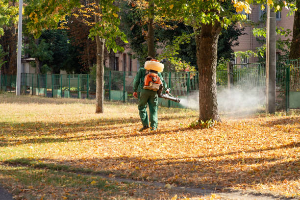 Best Spider Control Near Me  in Mineral Ridge, OH