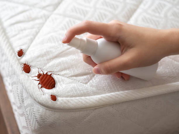 Best Residential Pest Control  in Mineral Ridge, OH