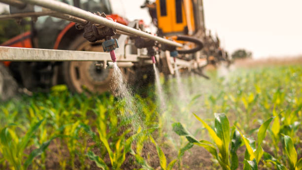 Best Wildlife Control Services  in Mineral Ridge, OH